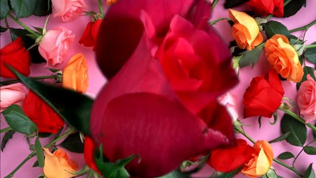 С ДНЕМ АНГЕЛА (видео на заказ) смотреть онлайн