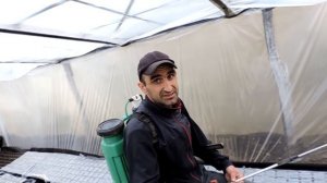 ?Посадка Арбуза в кассеты на Рассаду