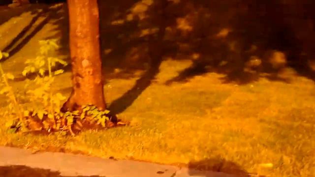 Нескучная набережная Москва реки, до парка Культуры и Андреевского моста. смотреть онлайн