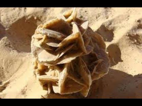 РОЗА ПУСТЫНИ ИЛИ ПУСТЫННАЯ РОЗА. СВОЙСТВА. ГДЕ ВСТРЕЧАЕТСЯ смотреть онлайн