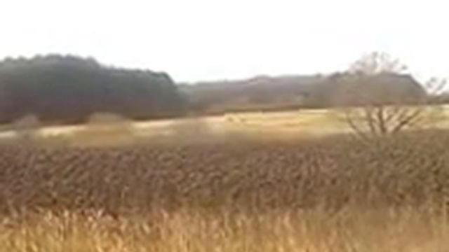 4 ЛОСЯ1 лоси на дороге смотреть онлайн