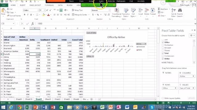 Excel Pivot Tables, Pivot Charts, Slicers and Dashboards Complete Excel 2007 2010 2013 2016 Tutoria