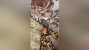 БОЛЬШОЕ ШОУ АКУЛЁНКА ПРЕМЬЕРА 8 СЕРИИ ! МЕДУЗЯНКА