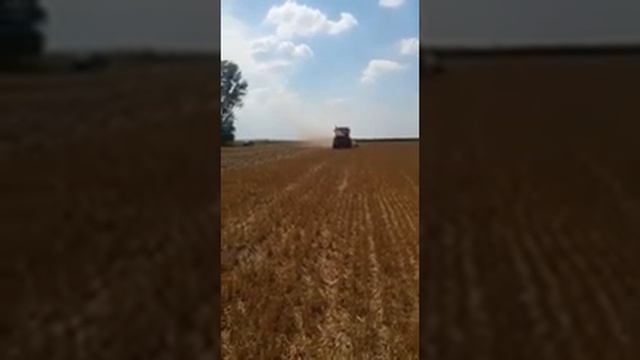 Работа бороны дискочизельной БДЧ 5С РОСОМАХА производства БДТ-АГРО с трактором Кировец 744 в Румыни смотреть онлайн