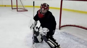 Хоккей вратари 14