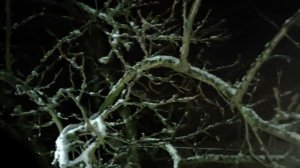 Как загадать желание в Новый год, чтобы оно сбылось.