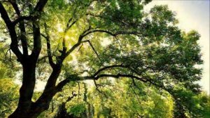 Материнская душа. «Триединство Духа, Души и Тела».