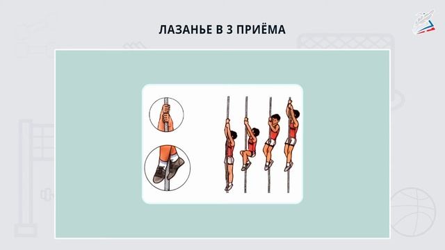 Техника лазания по канату. Техника лазания по канату в три приема. Лазание по канату 6 класс физкультура. Лазание по канату способы в три приема. Лазание по канату.