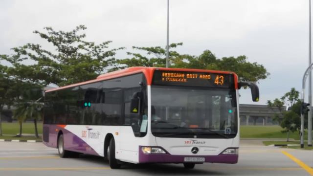 SBS Transit Mercedes Benz O530 Citaro смотреть онлайн
