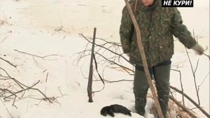 Охота на норку капканом. Ловля ондатры мордушкой - 2021г