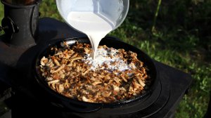 Жульен без заморочек за 20 минут в сковороде на огне.