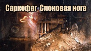 ЧАЭС ☢ Саркофаг ☢ Слоновая нога