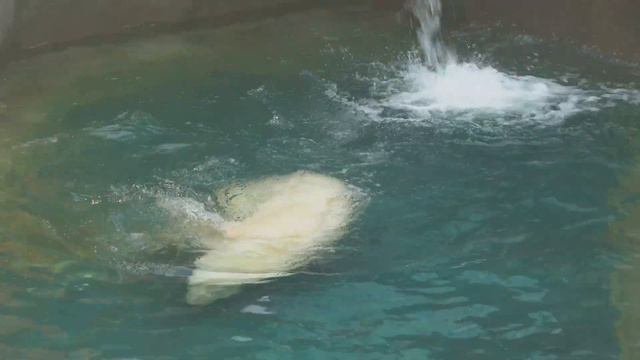 Кай кайфует. 05.05.2023 смотреть онлайн