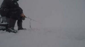 ЛОВЛЯ СУДАКА НА ВИБы. и СРАЗУ ТРОФЕЙНЫЙ СУДАК.