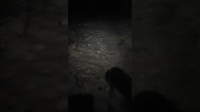 фрнарь налобный fenix hp25r v2. 0 смотреть онлайн