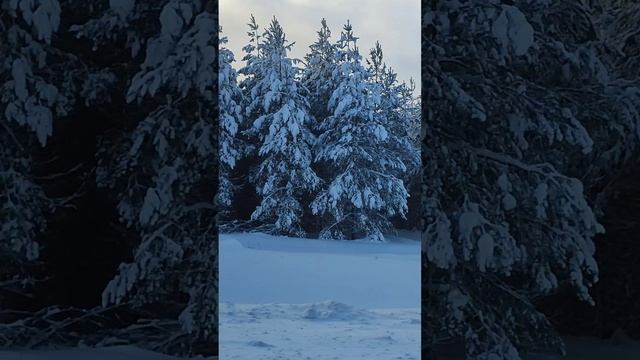 #зима