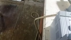 Что делать, если шпиндел крутит в другую сторону?