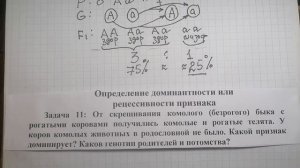 Решение задач по генетике:  1 - Определение вероятности потомства и 2 - Определение доминантности