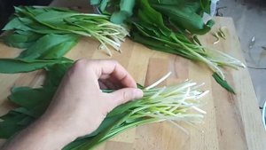 Черемша впрок ( нашинковать и заморозить в морозилке).