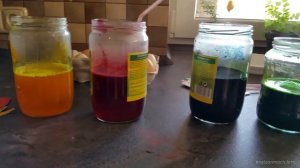 Зачем чешских женщин хлещут плеткой?