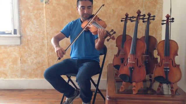 Violin 4/4 Stainer смотреть онлайн