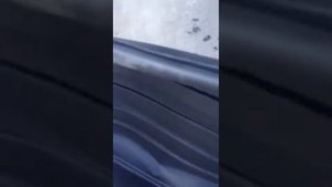 Сани волокуши испытания