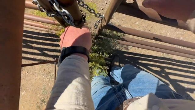 Biggest Cow We've Had! New Ranch Reveal! смотреть онлайн