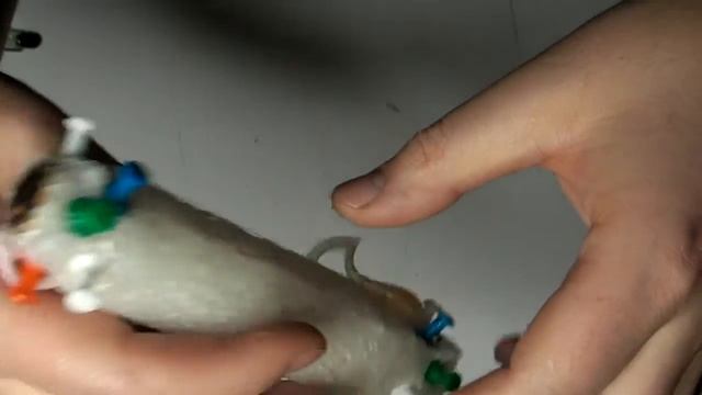 поводочница мотовила для поводков поводочница своими руками смотреть онлайн