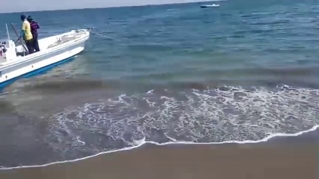 Пойман тунец, барракуда, скат с помощью невода. Оманский залив ОАЭ.
