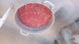 сок из барбариса своими руками.