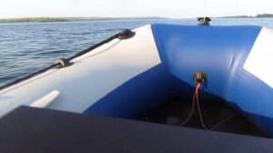 Судак на балансир.Ловля судака с лодки.Судак в отвес.