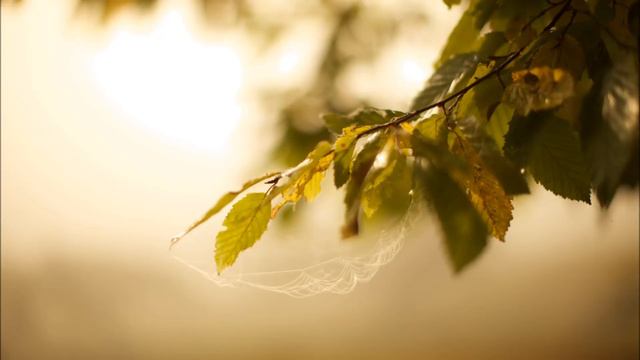 New Emotional Sad Celtic Music, Beautiful Medieval Flute and Violin Music Mix 2014 #11 смотреть онлайн