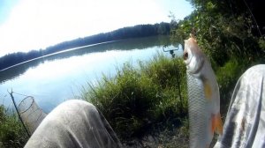 Озёрная плотва. Рыбалка в сентябре на пикер Волжанка Оптима 3м.