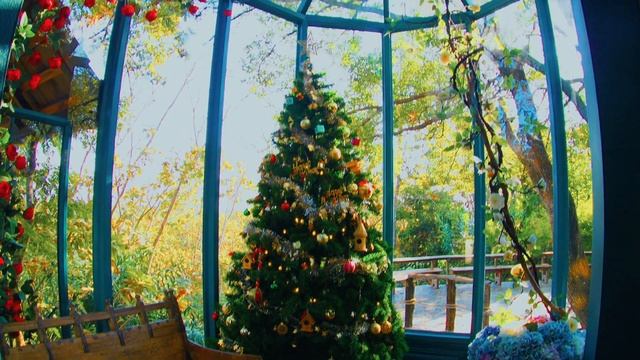 กันสั่นolympus em10 mark iii смотреть онлайн