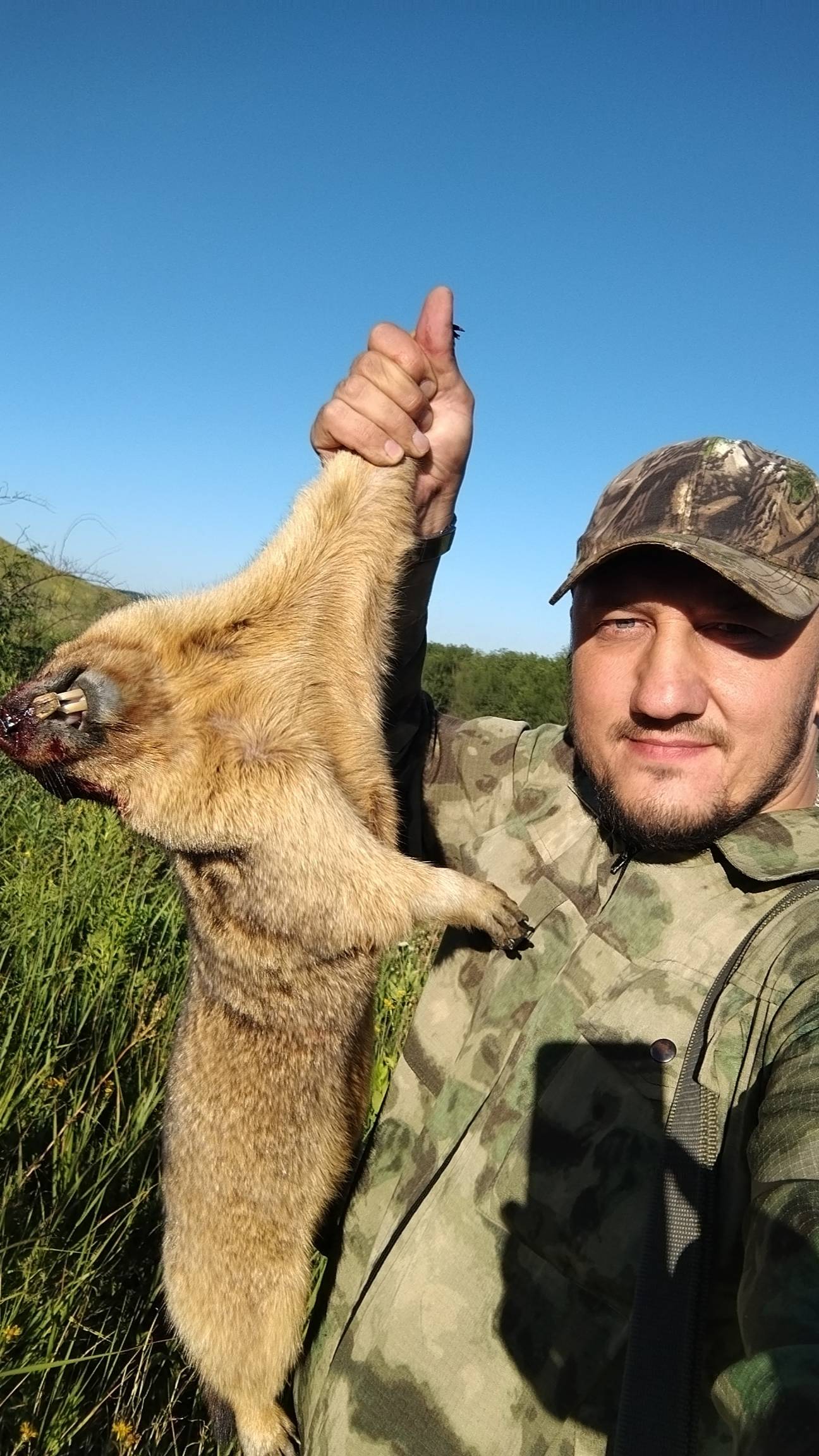 Охота на сурка! смотреть онлайн