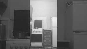 Бабы тупые дуры делать нечего два дебила это сила