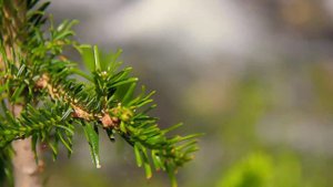 Бадукские озера.mp4