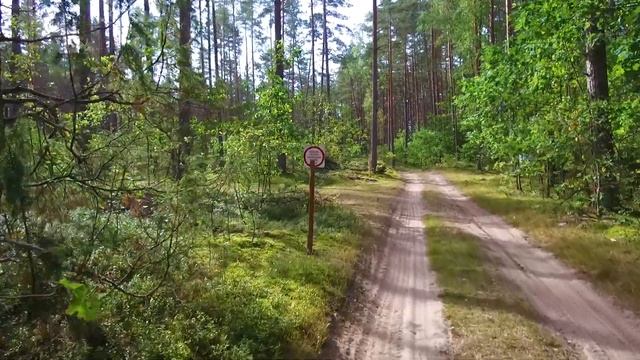 С ДНЁМ РАБОТНИКОВ ЛЕСА 2023 смотреть онлайн