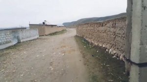 фархор.Д.каратов.22.12.2020