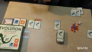 "Эволюция" правила настольной игры в New York Coffee