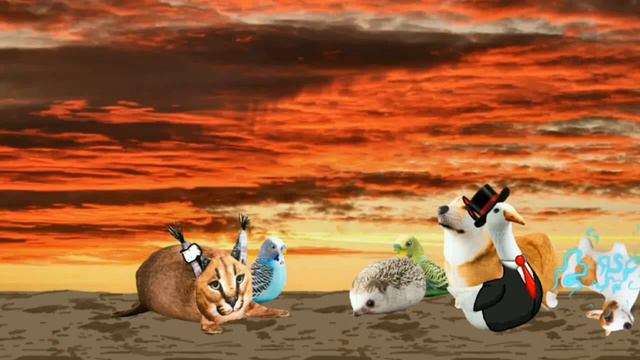 короче это просто видео смотреть онлайн