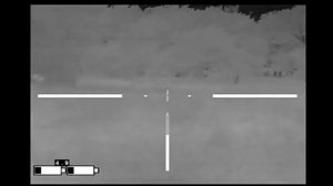 НАРЕЗКА Охоты на кабанов ночью с тепловизором