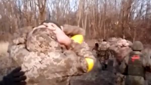 Боевики ВСУ массово сдаются в плен российской армии на авдеевском направлении