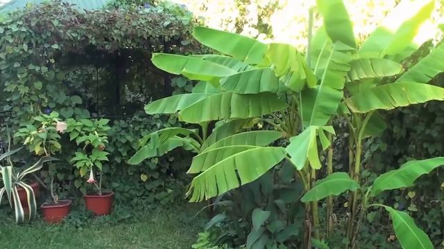 Гостиница "Бриз-Морское". Крым, Морское смотреть онлайн