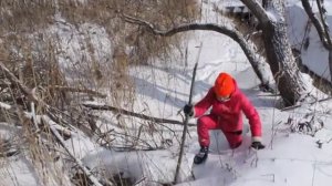 Путешествие вдоль Алексеевского ручья