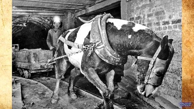 Сумасшедшие Викторианские Профессии / [История по Чёрному]