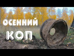 Сегодня много копаем на болотах. Осень - лучшее время для металлокопа! КОНКУРС!