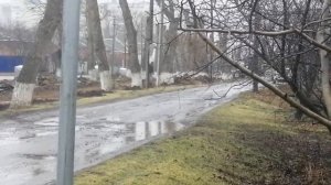 06.3.23 ч. 2. п. Орловский, Орловский район, Ростовская область