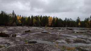 Кольский на автодоме 2022