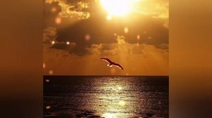 "За тихой рекою ",- песня в исполнении Елены Керхер и Зульфии Кадыровой.